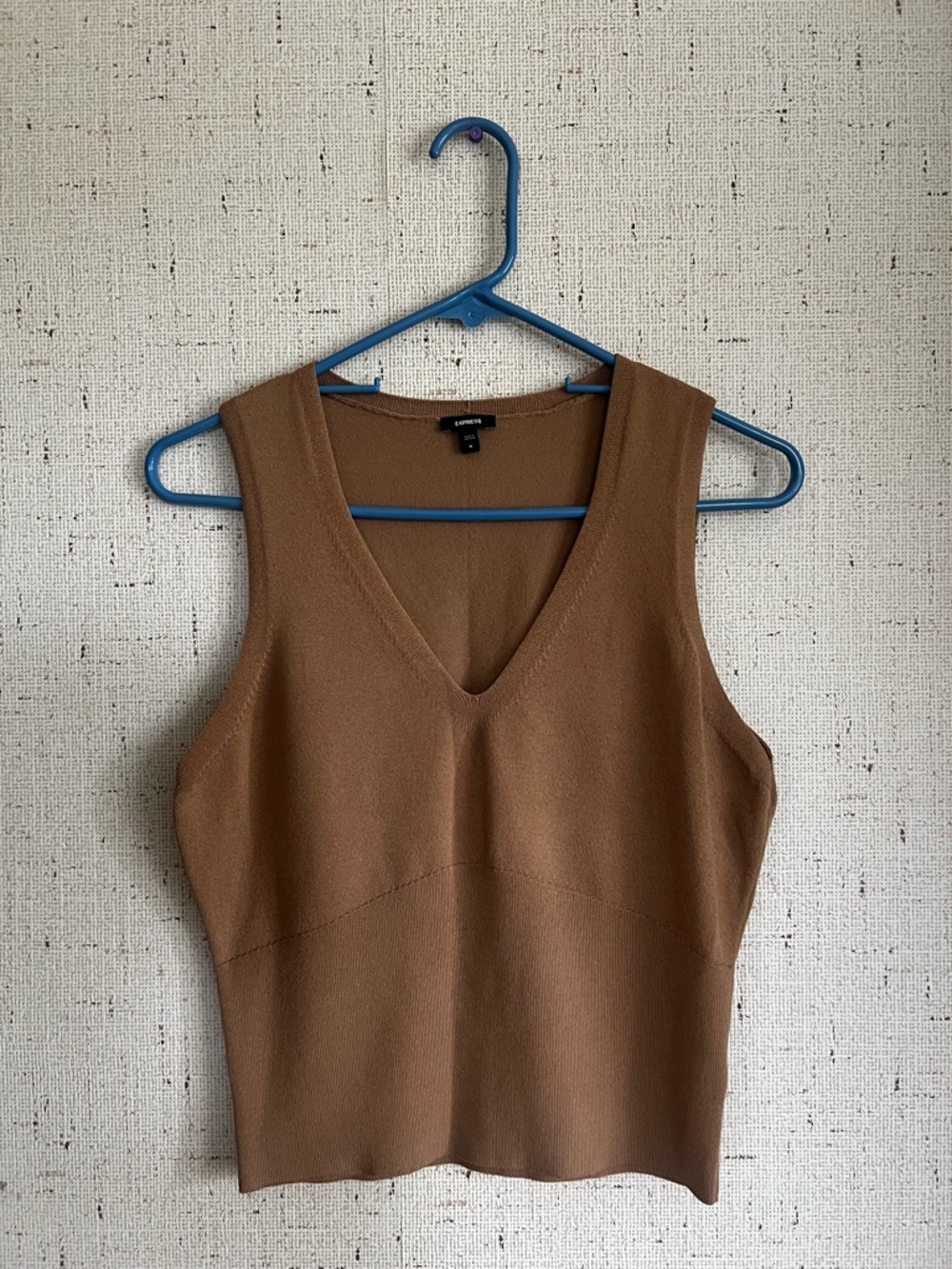 Express Brown V-Neck Crop Top